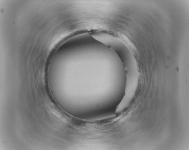 X0000088130391200705291338