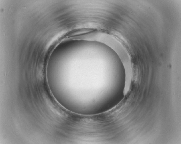 X0000088130392200705291338