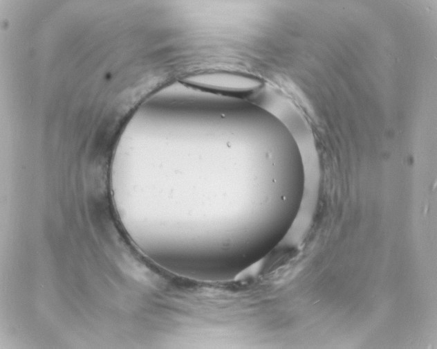 X0000088130393200705291338