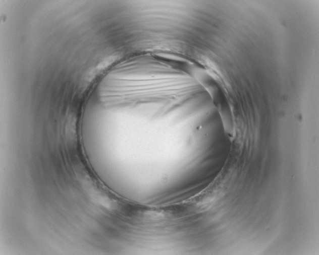 X0000088130394200705291338