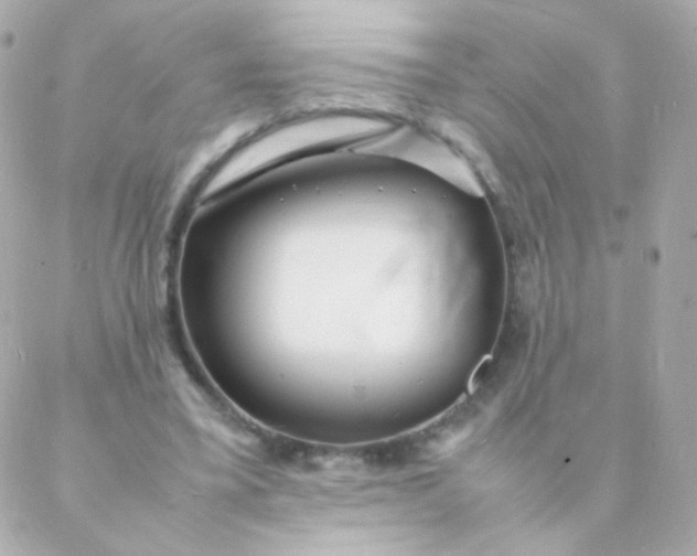 X0000088130395200705291338