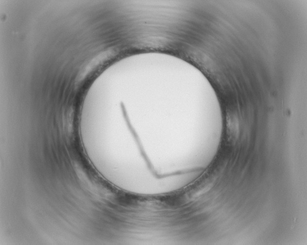 X0000088130396200705291338