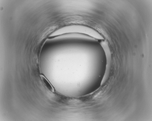 X0000088130397200705291338