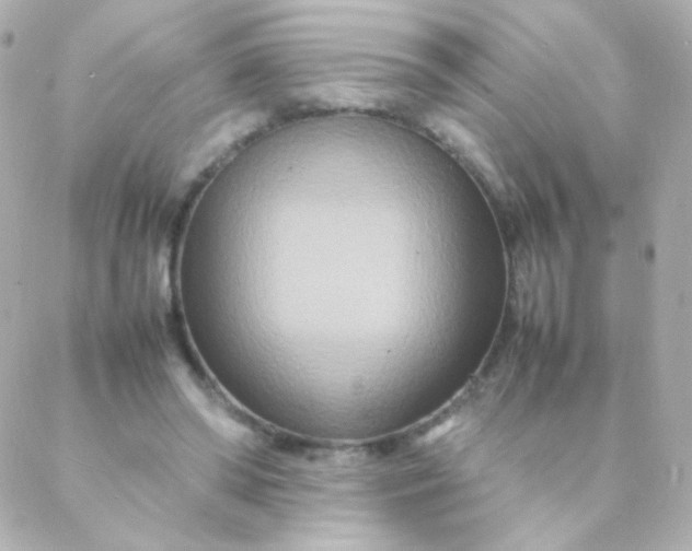 X0000088130398200705291338