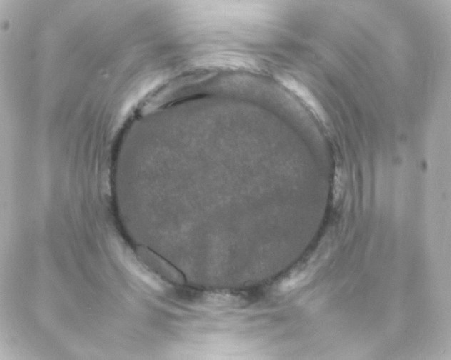 X0000088130399200705291338