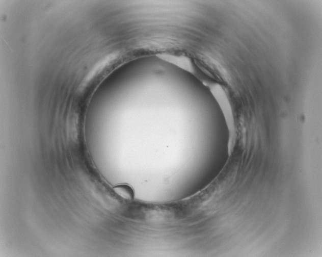 X0000088130400200705291338