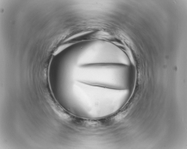 X0000088130401200705291338