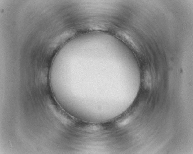 X0000088130402200705291338