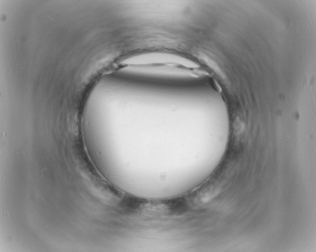 X0000088130403200705291338