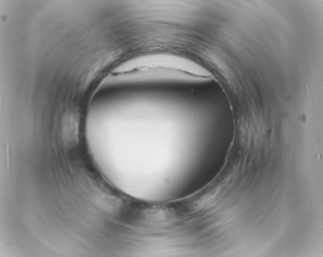 X0000088130404200705291338