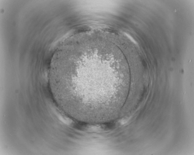 X0000088130405200705291338