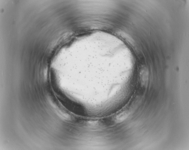 X0000088130406200705291338