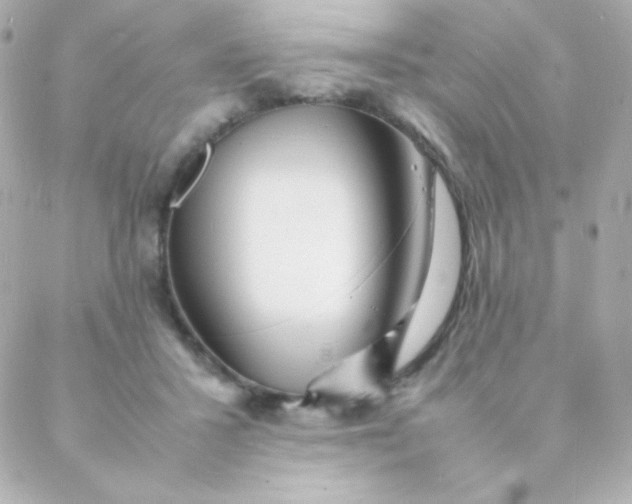 X0000088130407200705291338