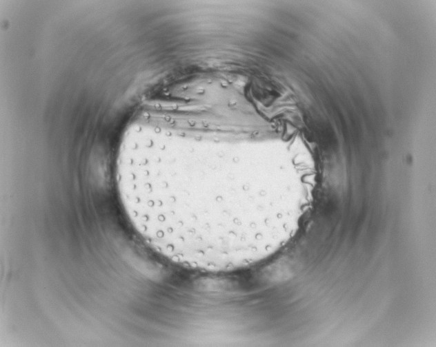 X0000088130408200705291338