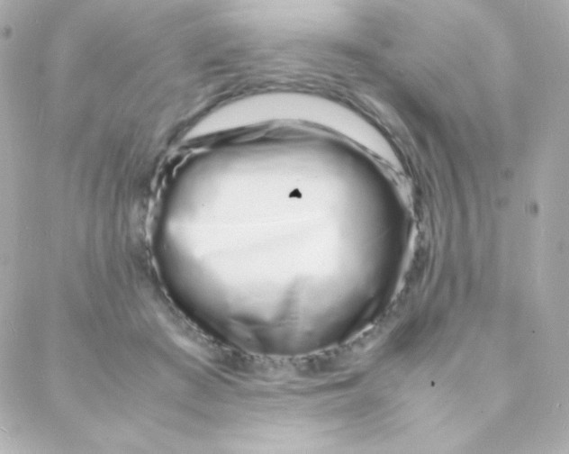 X0000088130409200705291338