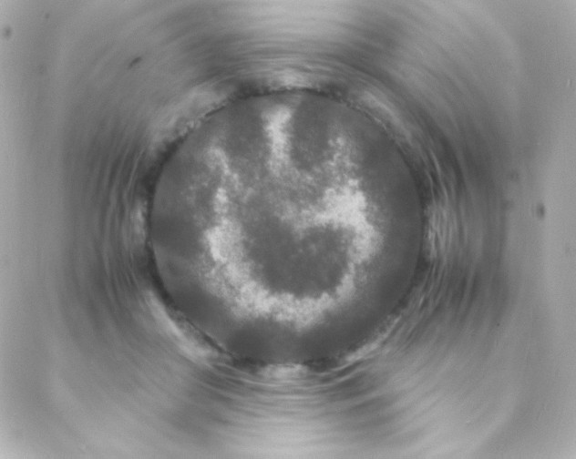 X0000088130410200705291338