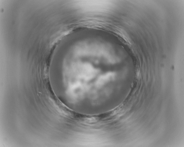 X0000088130411200705291338