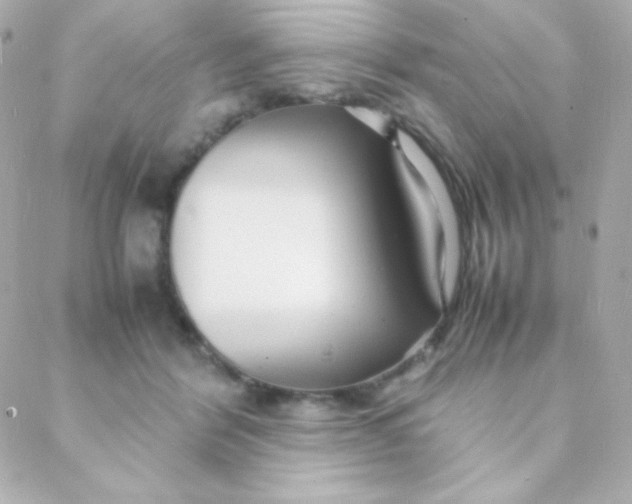 X0000088130412200705291338