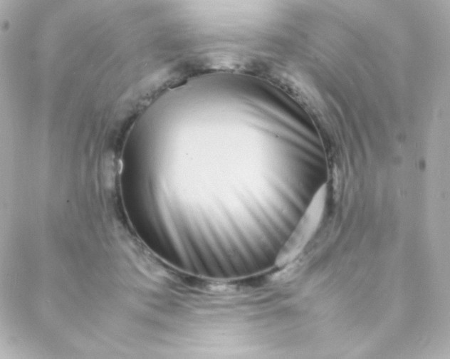 X0000088130413200705291338