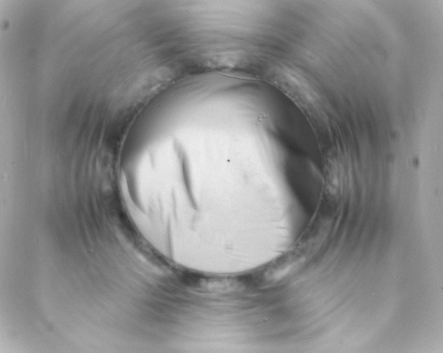 X0000088130414200705291338