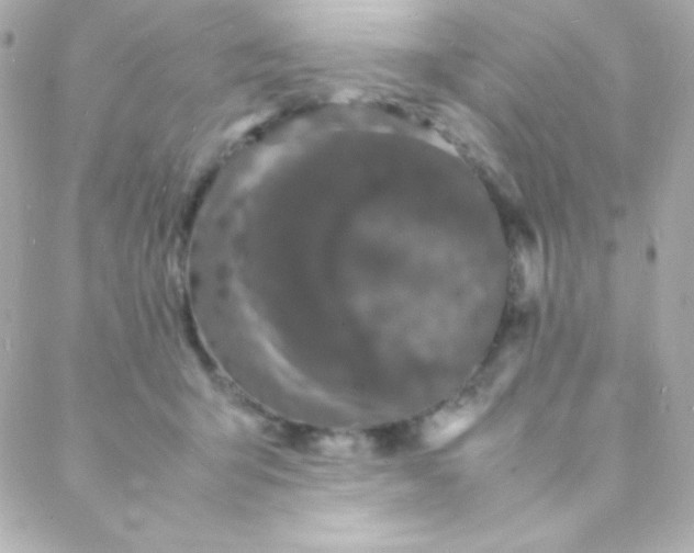 X0000088130415200705291338