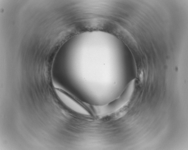 X0000088130416200705291338