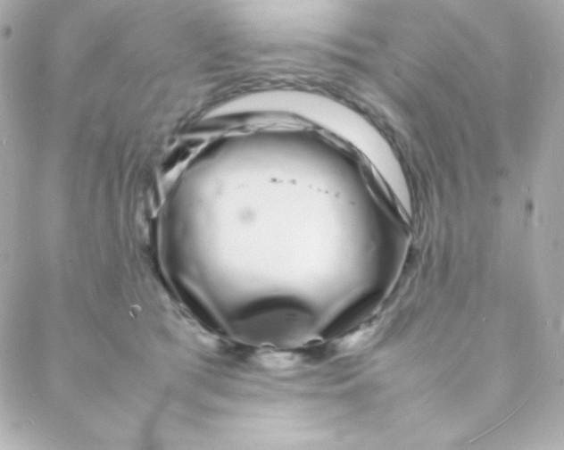 X0000088130417200705291338