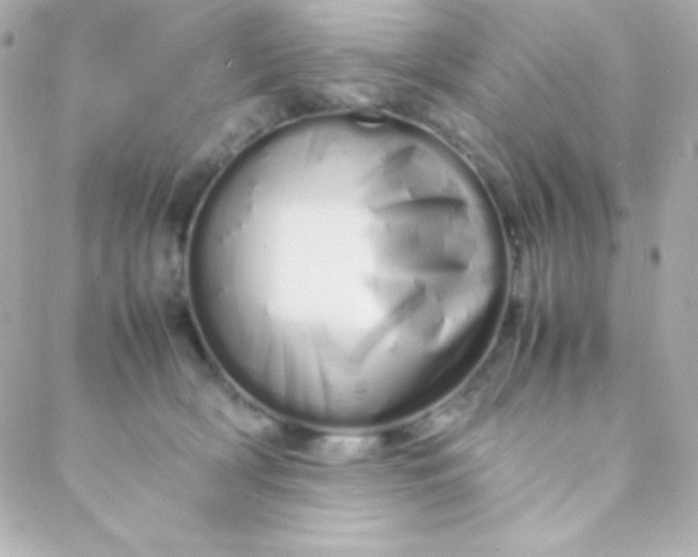 X0000088130418200705291338