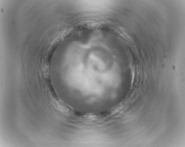 X0000088130419200705291338