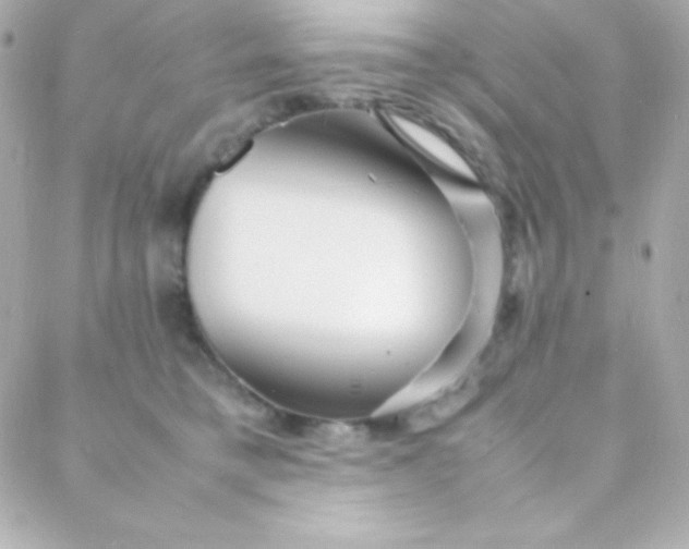 X0000088130421200705291338