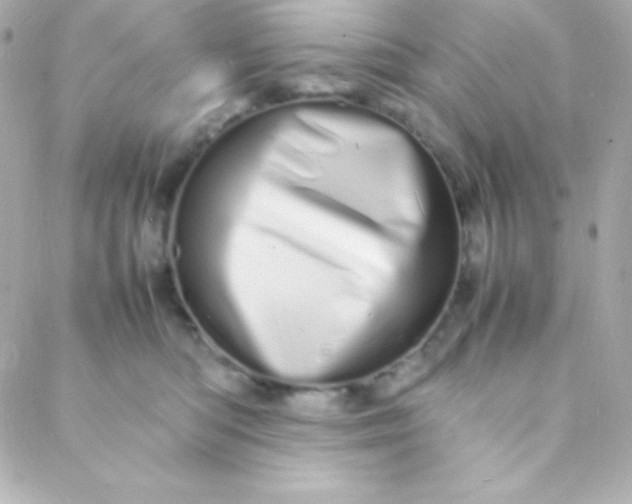 X0000088130422200705291338