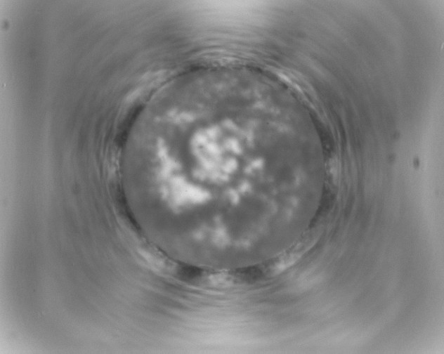 X0000088130423200705291338