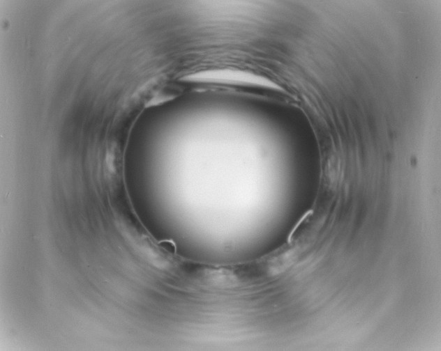 X0000088130424200705291337