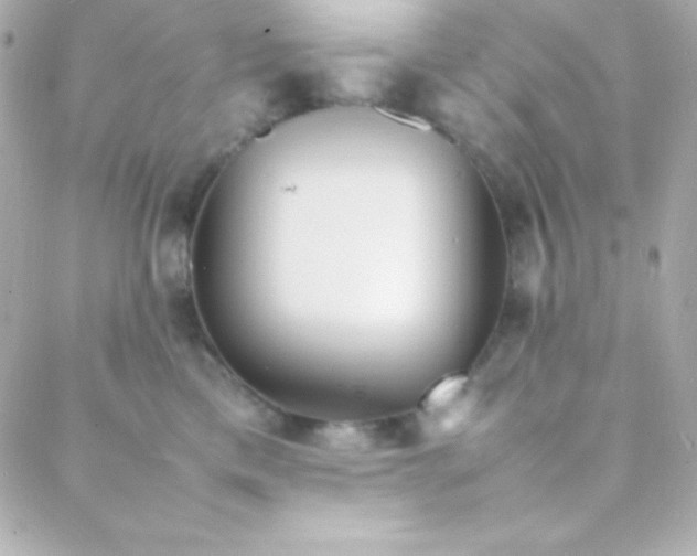 X0000088130425200705291337