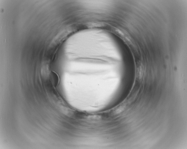 X0000088130426200705291337