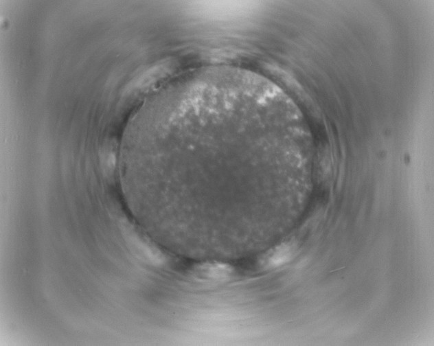 X0000088130427200705291337