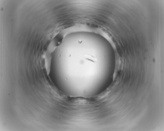 X0000088130428200705291337