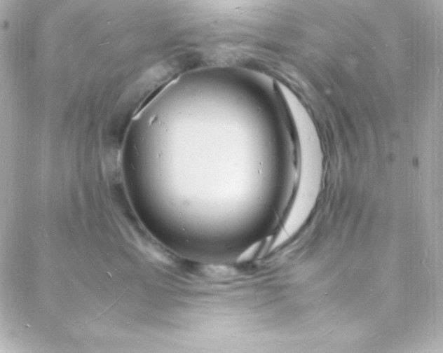 X0000088130429200705291337