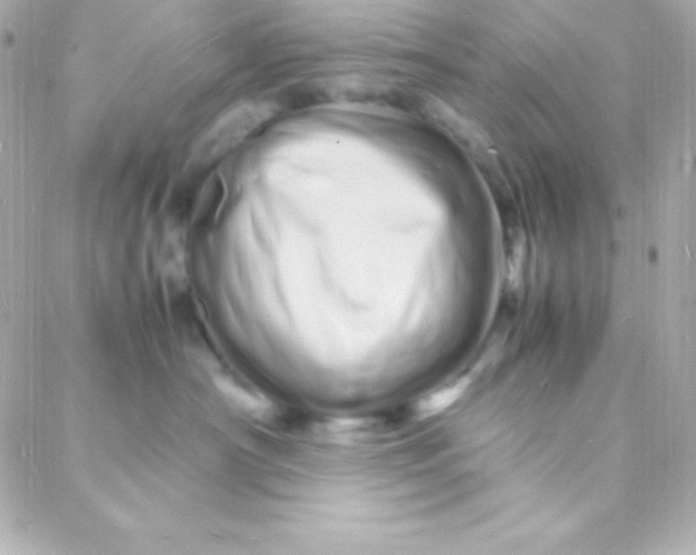 X0000088130430200705291337