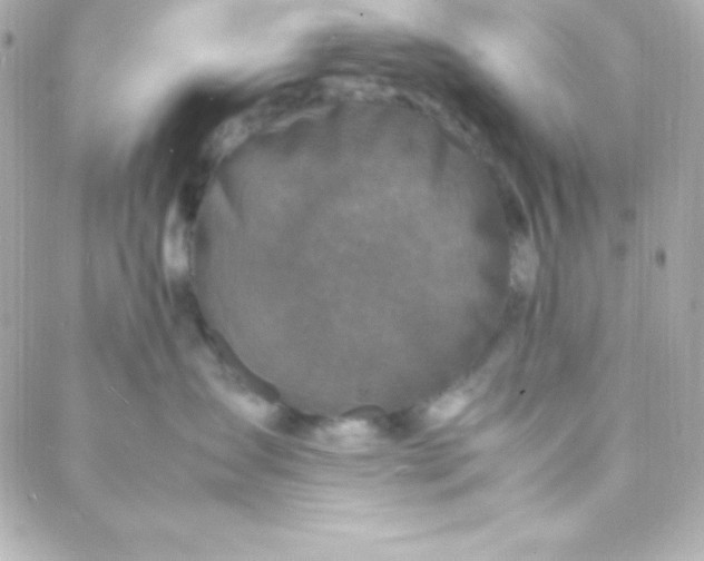 X0000088130431200705291337