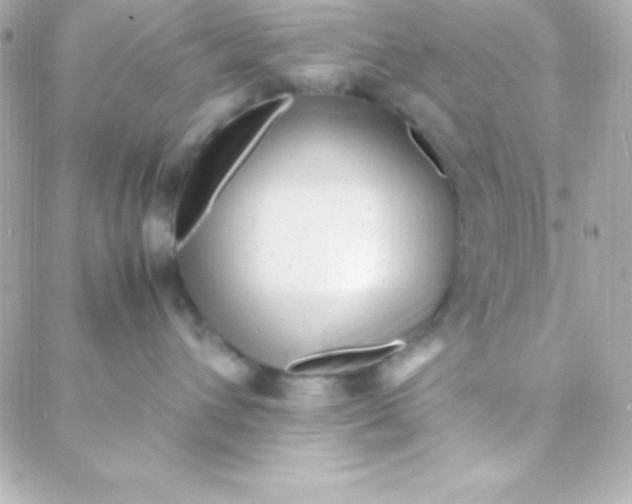 X0000088130432200705291337