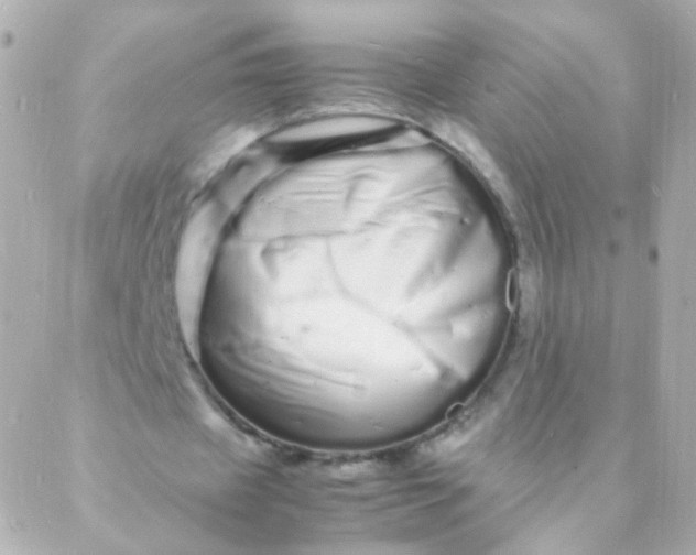 X0000088130433200705291337