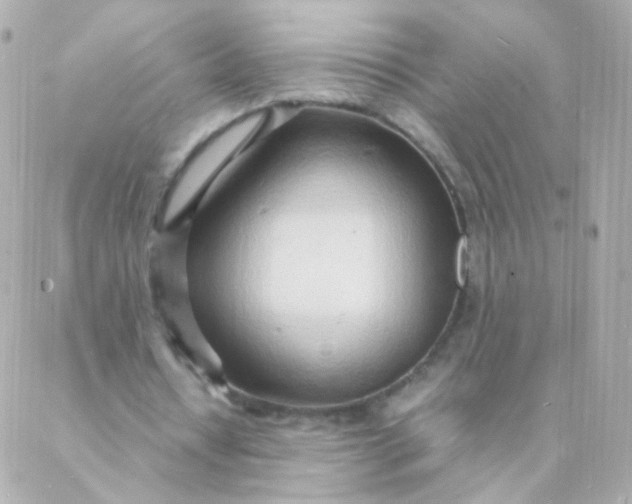 X0000088130434200705291337