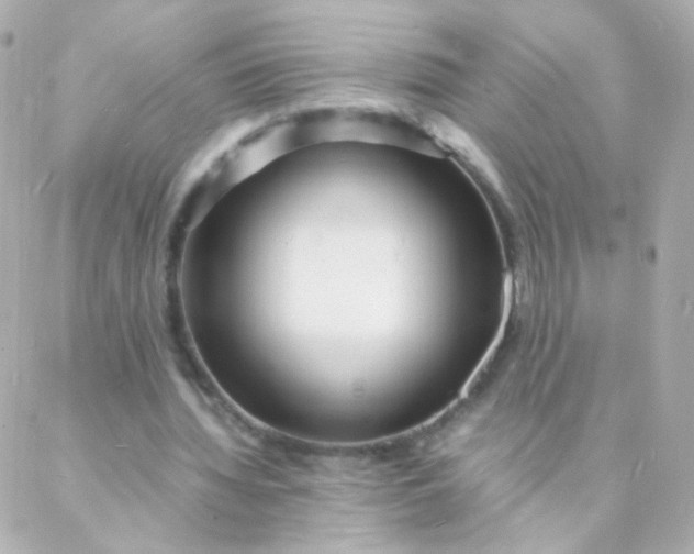 X0000088130436200705291337