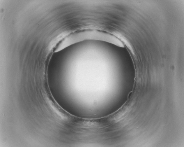 X0000088130437200705291337