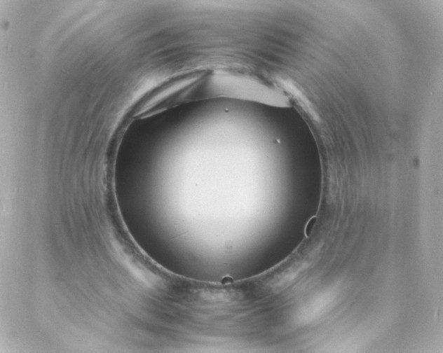 X0000088130439200705291337