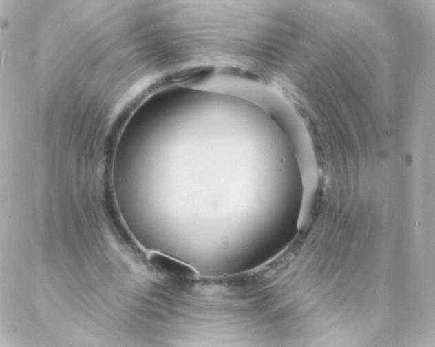 X0000088130440200705291337