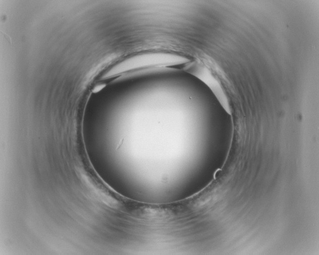 X0000088130442200705291337