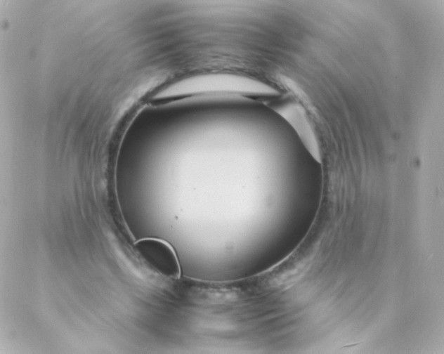 X0000088130443200705291337