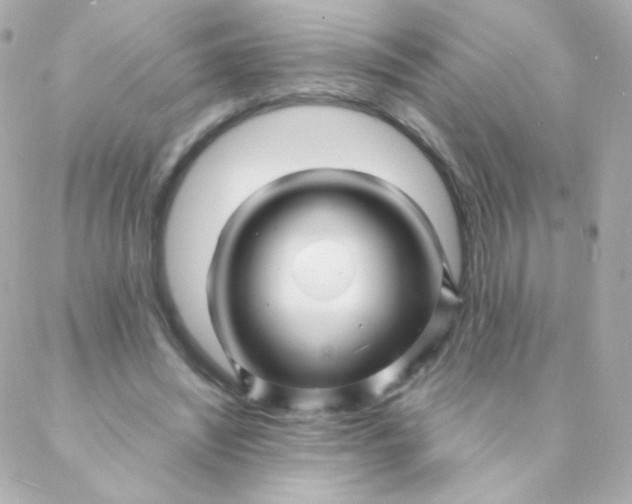 X0000088130444200705291337